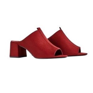 Zara mules